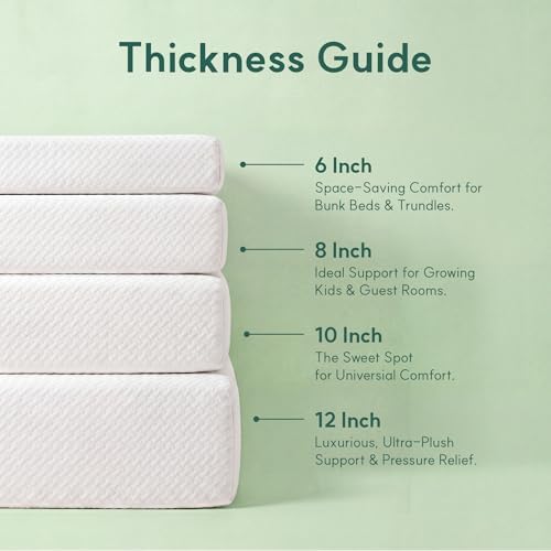 퀸 매트리스, 10인치 퀸 사이즈 매트리스, 기본 말차 - Memory Foam Mattress In A Box Queen 리뷰 및 가격